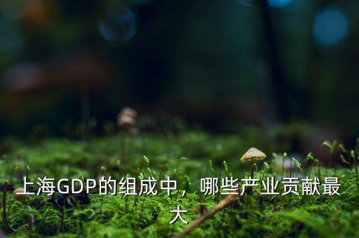 上海的重點產業是什么,上海GDP的組成中
