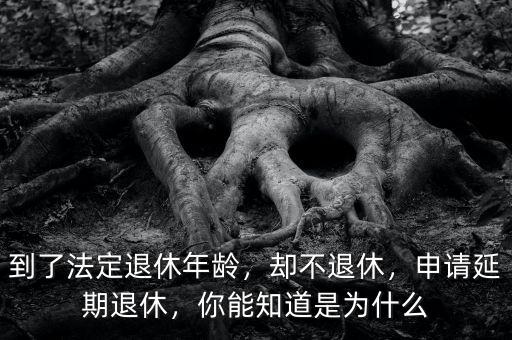 到了法定退休年齡，卻不退休，申請延期退休，你能知道是為什么