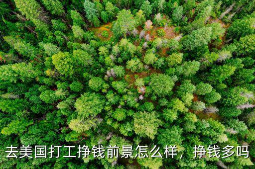 在美國什么職業最掙錢,在美國是什么水平