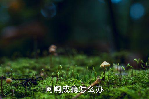 怎么戒掉網購,網購成癮怎么辦
