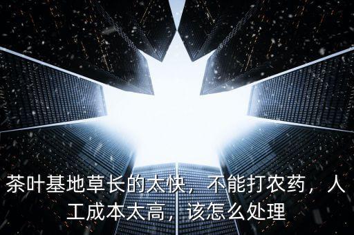 茶葉基地草長的太快，不能打農藥，人工成本太高，該怎么處理