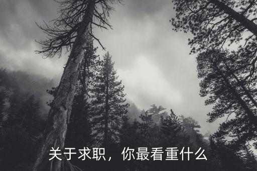 關于求職，你最看重什么