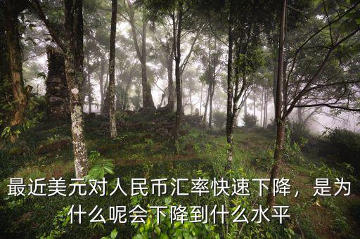 最近美元對(duì)人民幣匯率快速下降，是為什么呢會(huì)下降到什么水平