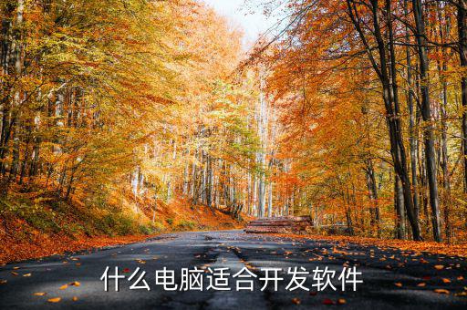 什么電腦適合開發軟件