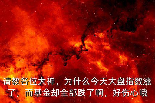 請教各位大神，為什么今天大盤指數漲了，而基金卻全部跌了啊，好傷心哦