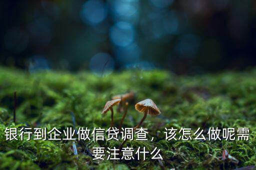 銀行去木材加工企業做貸前調查應該注意什么,需要注意什么