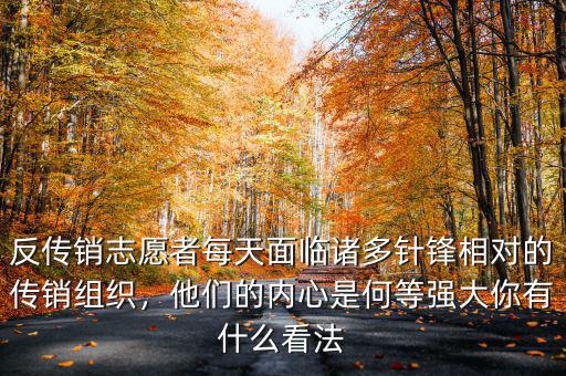 反傳銷志愿者每天面臨諸多針鋒相對的傳銷組織，他們的內心是何等強大你有什么看法