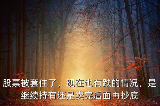 股票被套住了，現在也有跌的情況，是繼續持有還是賣完后面再抄底