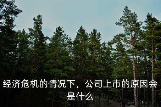 經濟危機的情況下，公司上市的原因會是什么