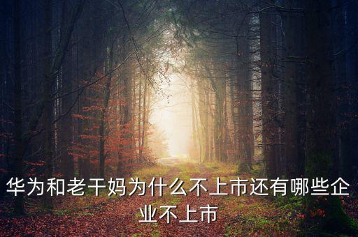 為什么企業家不愿上市,還有哪些企業不上市