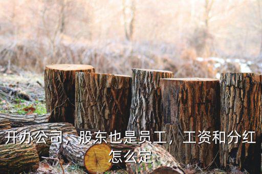 公司創客公司與員工怎么分紅,員工收到公司利潤分紅