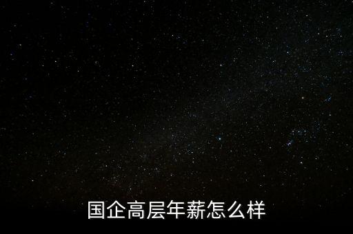 哈爾斯企業待遇怎么樣,國企高層年薪怎么樣