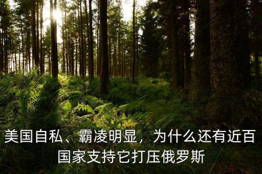 美國自私、霸凌明顯，為什么還有近百國家支持它打壓俄羅斯
