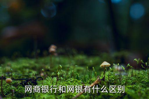 浙江網商銀行有什么用,網商銀行和網銀有什么區別