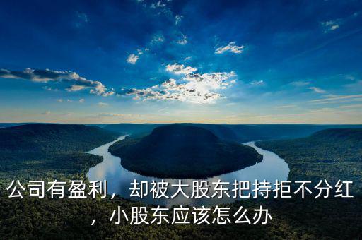 公司有盈利，卻被大股東把持拒不分紅，小股東應該怎么辦