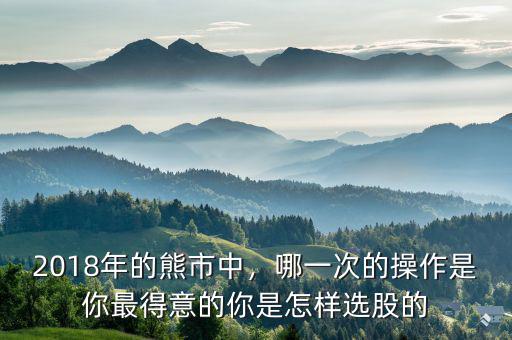 2018年的熊市中，哪一次的操作是你最得意的你是怎樣選股的
