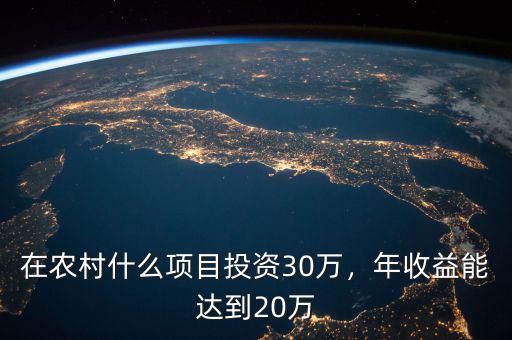 在農村什么項目投資30萬，年收益能達到20萬