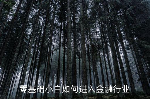 怎么才能進入金融,想進入金融行業