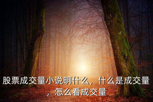 股票成交量小說(shuō)明什么，什么是成交量，怎么看成交量