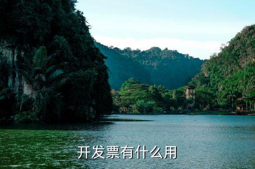 開發票是干什么用的，開發票有什么用