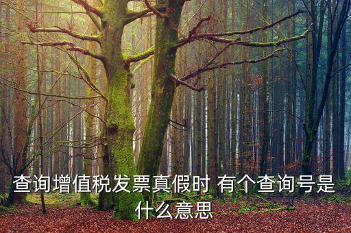 查詢增值稅發(fā)票真假時(shí) 有個(gè)查詢號是什么意思