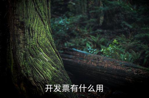 開發票有什么用