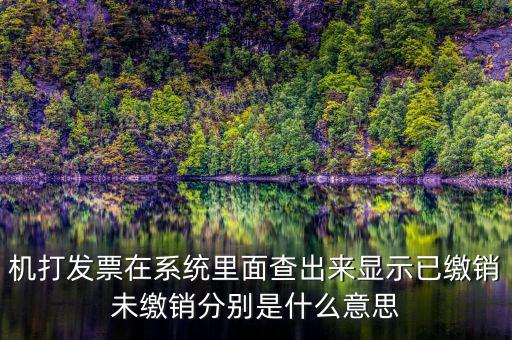 機打發票在系統里面查出來顯示已繳銷未繳銷分別是什么意思