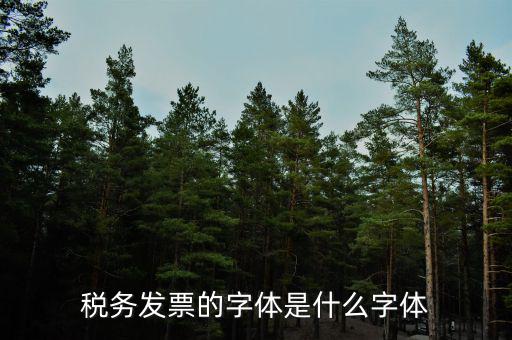 稅務發票的字體是什么字體