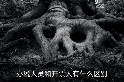 辦稅人員是什么，辦稅人員和開票人有什么區別