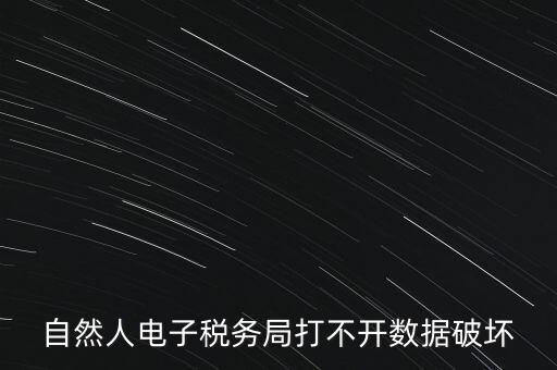 自然人電子稅務局打不開數據破壞