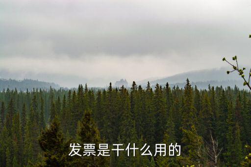 發票是干什么用的