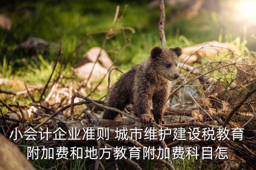 稅務維護需要什么科目，對城市維護建設稅進行會計處理時可能涉及的會計科目是 A 營業外