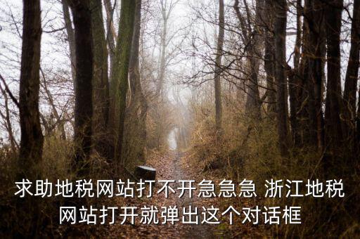求助地稅網(wǎng)站打不開(kāi)急急急 浙江地稅網(wǎng)站打開(kāi)就彈出這個(gè)對(duì)話(huà)框