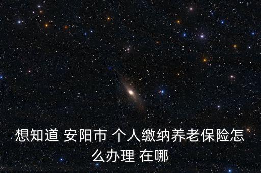 想知道 安陽市 個人繳納養老保險怎么辦理 在哪