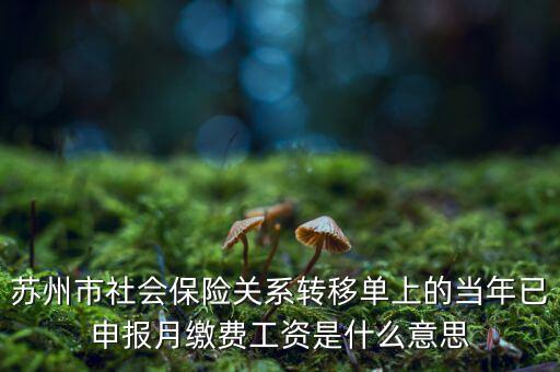 社保已申報是什么意思，新手求助請問網上申報是什么意思