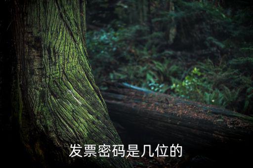 普通發票密碼是什么，國稅局發票軟件里用戶代碼和密碼是什么