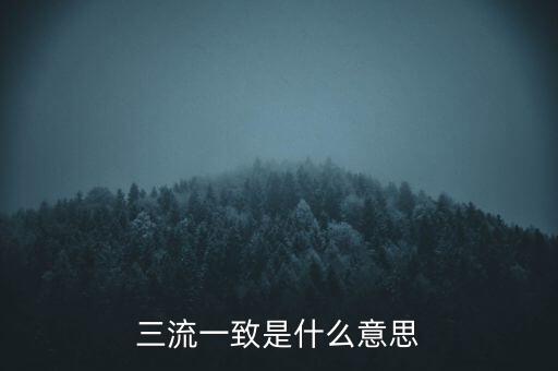 發(fā)票 流向一致是什么意思，發(fā)票四流一致是哪四流