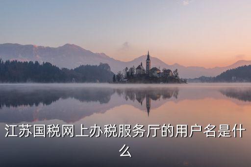 江蘇國(guó)稅網(wǎng)上辦稅服務(wù)廳的用戶(hù)名是什么
