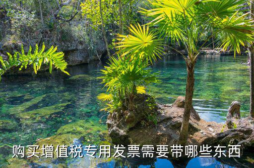 購買增值稅專用發票需要帶哪些東西