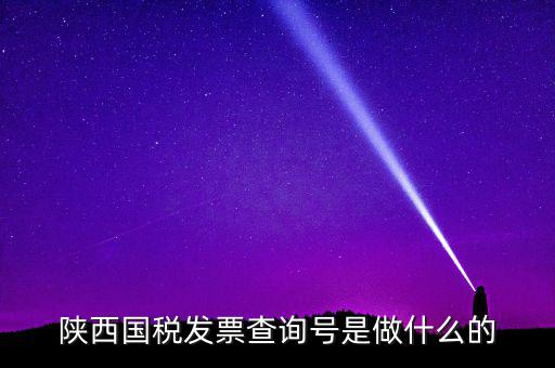 陜西國稅發票查詢號是做什么的