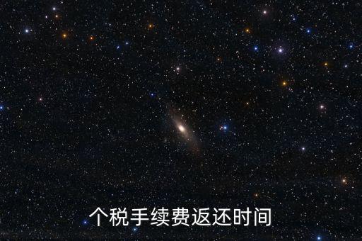個稅手續費返還時間