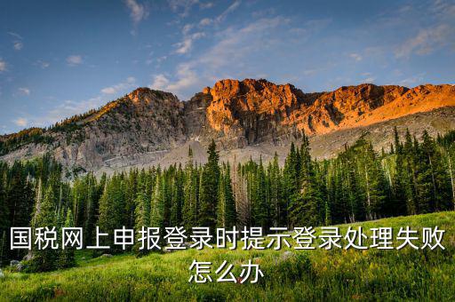 國稅網上申報登錄時提示登錄處理失敗怎么辦
