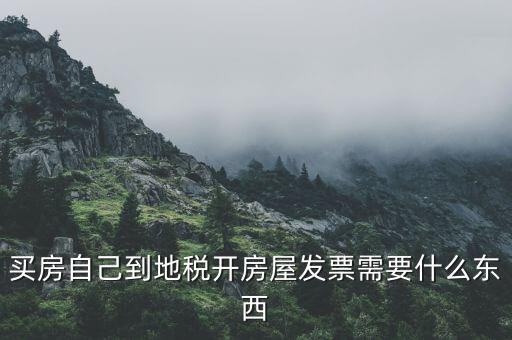 買房自己到地稅開房屋發票需要什么東西