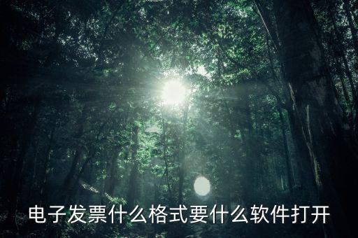 電子發票什么格式要什么軟件打開