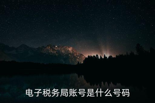 電子稅務局賬號是什么號碼