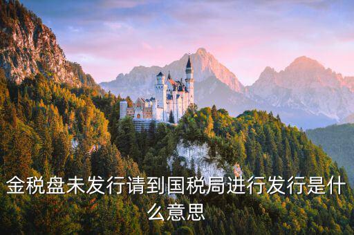 稅控發行是什么意思，金稅盤未發行請到國稅局進行發行是什么意思