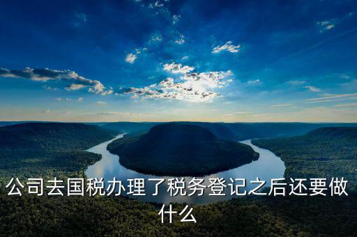 國稅辦完之后辦什么，公司去國稅辦理了稅務登記之后還要做什么