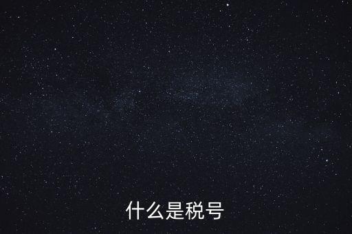 什么是單位稅號，什么是稅號