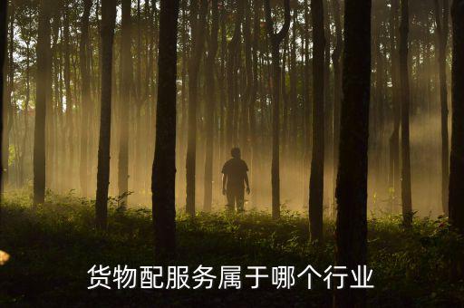 貨物配服務屬于哪個行業