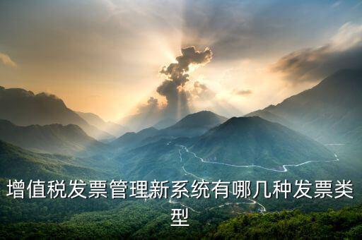 增值稅發票管理新系統是什么，增值稅開票系統有幾種 增值稅開票系統有哪些
